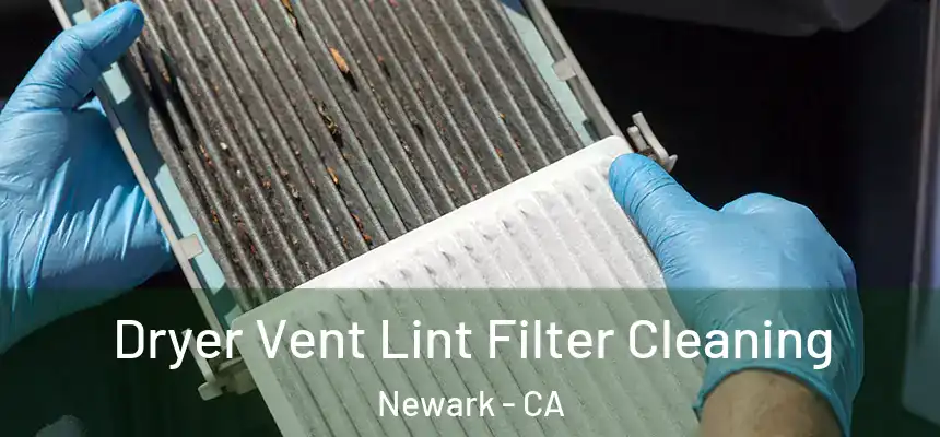  Dryer Vent Lint Filter Cleaning Newark - CA