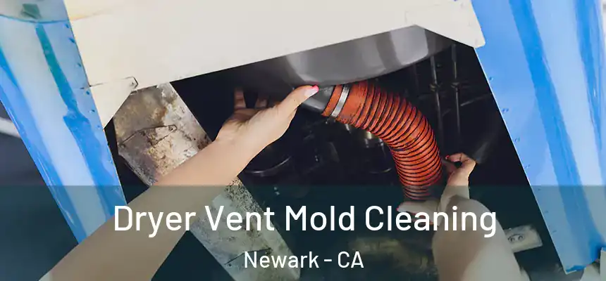  Dryer Vent Mold Cleaning Newark - CA