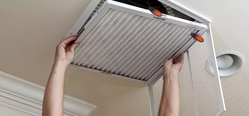 Preventive Cockroach-Proofing for Ducts in Newark