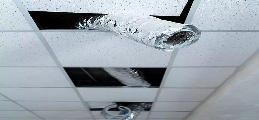 Our Air Duct Pet Hair Removal Services in Newark, CA