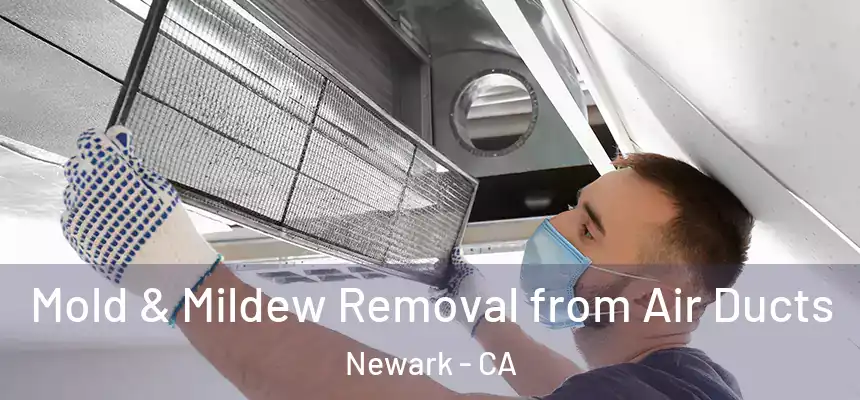  Mold & Mildew Removal from Air Ducts Newark - CA