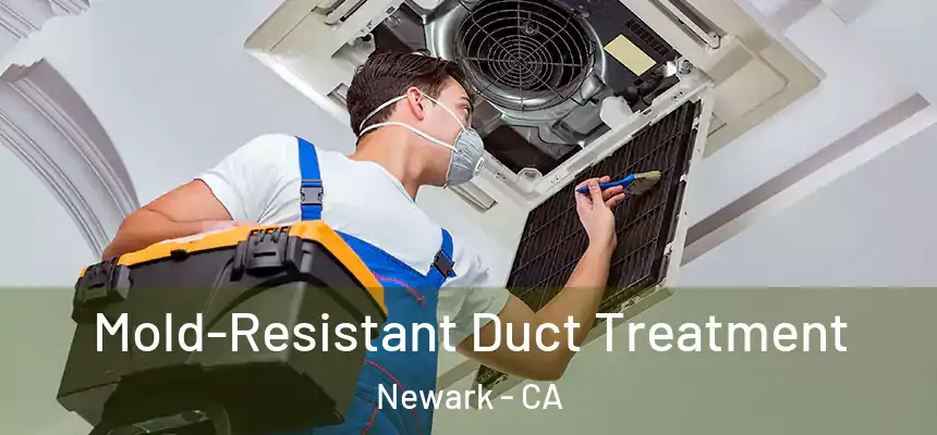  Mold-Resistant Duct Treatment Newark - CA