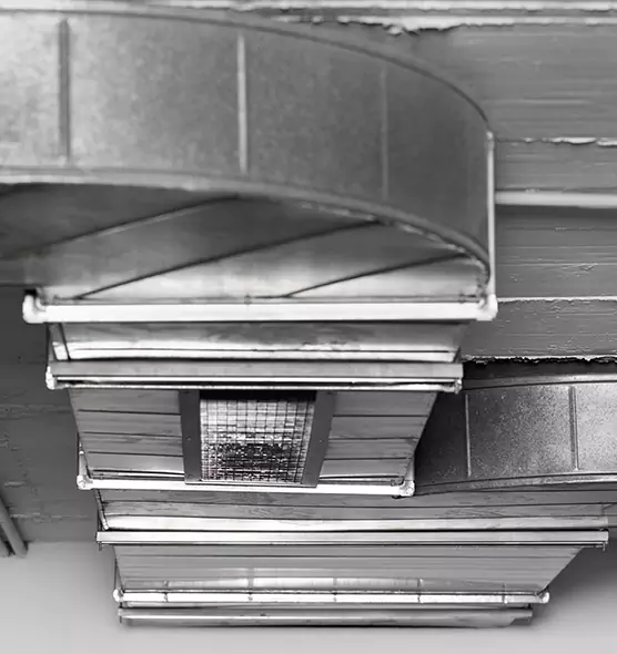 Professional Air Duct Pest Removal in Newark, CA