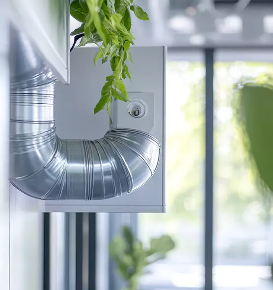 Professional Eco-Safe Dryer Vent Cleaning in Newark, CA