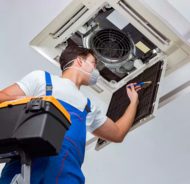 Why Homeowners & Businesses Trust Us in Newark, CA