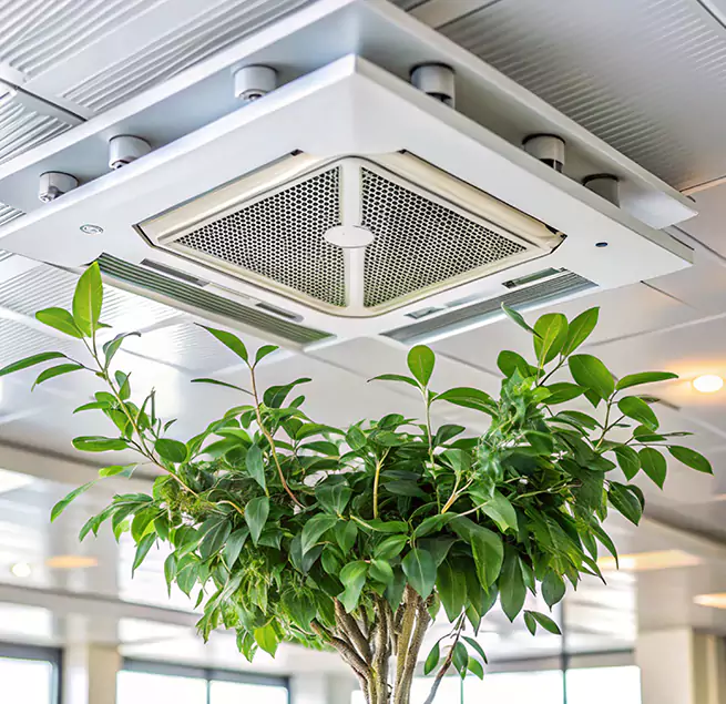 Why Homeowners & Businesses Trust Us in Newark, CA?