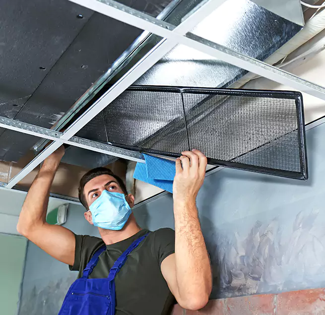 Why Homeowners Businesses Trust Us in Newark, CA?